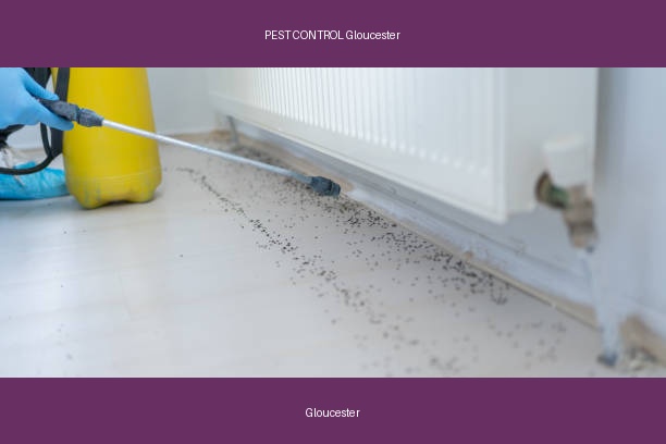 PEST CONTROL Gloucester